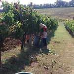 Casa Del Nonno Bingheri - Vencaglia Agroturismo